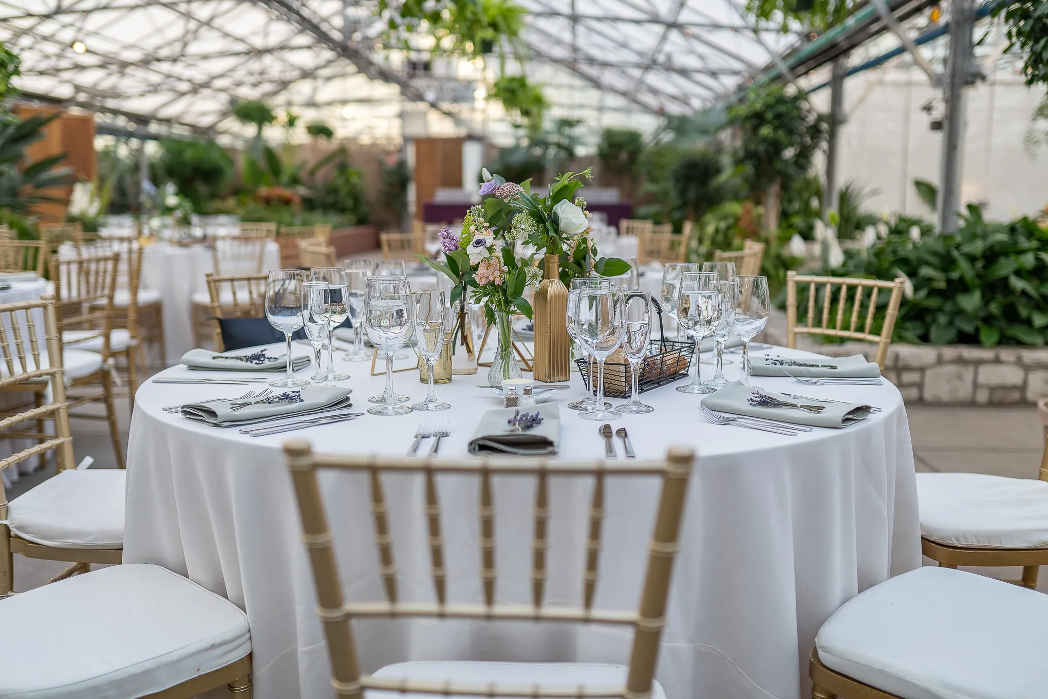 Reception table set in a glass greenhouse